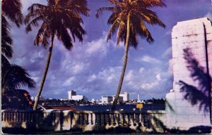 Palm Beach Florida FL Ocean Trees Skyline Postcard VTG UNP Mike Roberts Vintage  