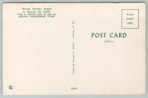 Canyon De Chelly New Mexico~Justin's Thunderbird Trees~Standard Chrome Postcard