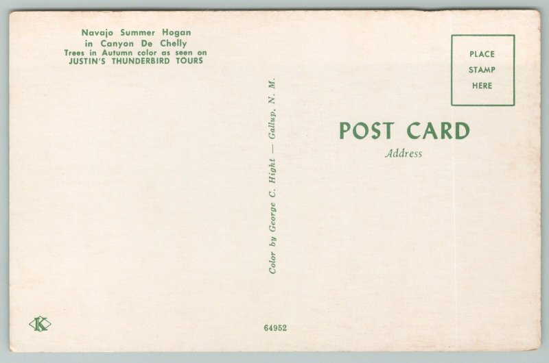Canyon De Chelly New Mexico~Justin's Thunderbird Trees~Standard Chrome Postcard