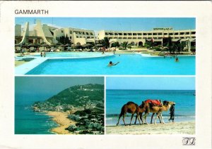 Gammarth, Tunisia  HOTEL CAP CARTHAGE  Pool & Camels On Beach  4X6 Postcard