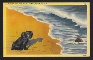 'Waiting For You On Beach' Puppy Ocean City NJ Unused c1930s