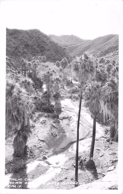 Palm Canyon Near Shields Date Gardens Indio, CA Frasher Real Photo Postcard