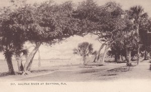 DAYTONA, Florida, 1901-1907s; Halifax River