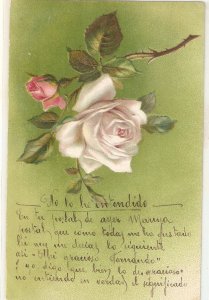 Beautiful Rose with poem Nice old vintage Spanish postcard. Embossed