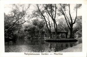 mauritius maurice PAMPLEMOUSSES Garden Scene 1950s RPPC Stamps