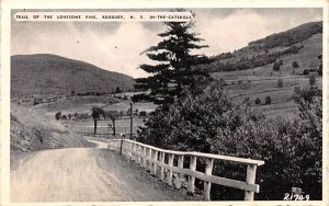 Trail of the Lonesome Pine in Roxbury, New York