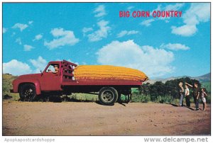 Exageration Large Corn On Truck