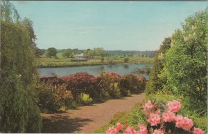 Scotland Postcard - Kelso, Glimpse of The River Tweed, Roxburghshire RS33433