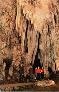 Vtg New Mexico NM Queens Chamber Carlsbad Cavern National Park 1950s Postcard
