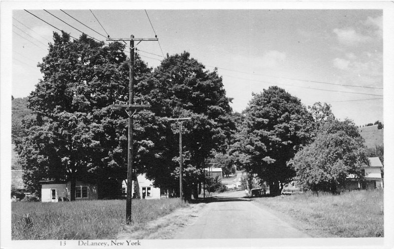 G22/ DeLancey New York RPPC Postcard c40s Homes Road Scene 3