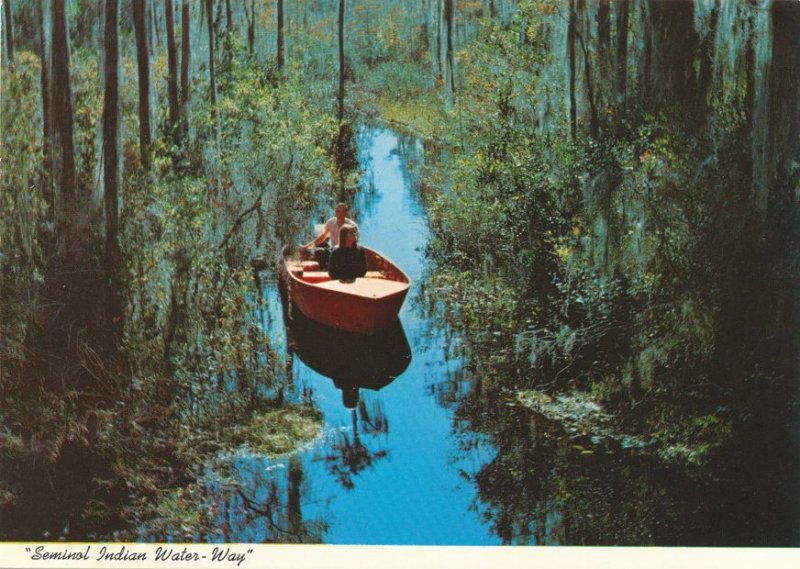 Electric Tour Boat on Seminal Indian Waterway - Okefenokee Swamp GA