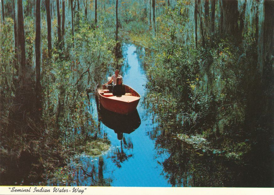 electric-tour-boat-on-seminal-indian-waterway-okefenokee-swamp-ga