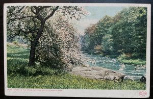 Vintage Postcard 1915-1930 Spring in the Berkshires Hills, Pittsfield, Mass.