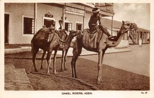 Lot284 camel riders types folklore  aden yemen real photo