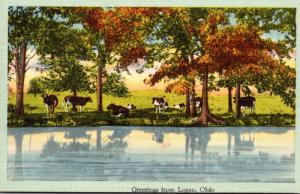 Ohio Greetings From Logan