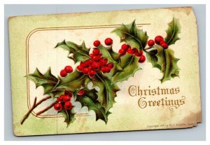 Vintage 1900's Christmas Postcard Embossed Mistletoe & Holly Berries Nice