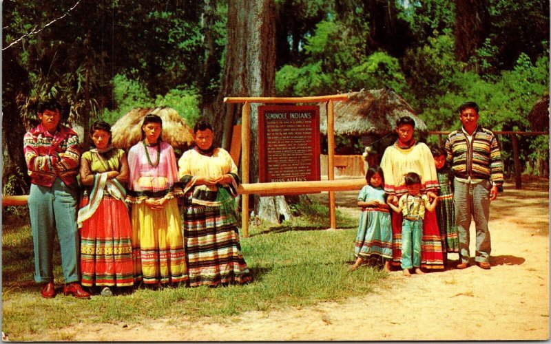 Seminole Indian Village Silver Springs Florida Plastichrome Everglades Postcard 