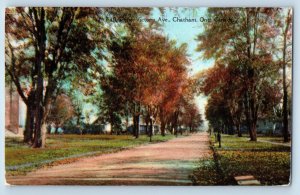 Chatham Ontario Canada Postcard Fall Scene Victoria Avenue 1937 Vintage