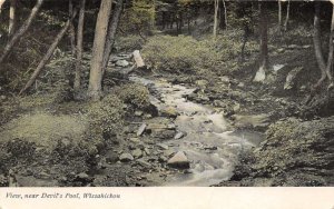 Philadelphia Pennsylvania View Near Devil's Pool Wissahickon Creek PC U2763