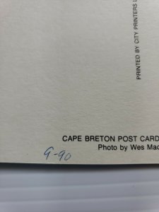 VTG Postcard Ingonish Cape Breton Nova Scotia Canada Snowy Ski Slopes 1990  398