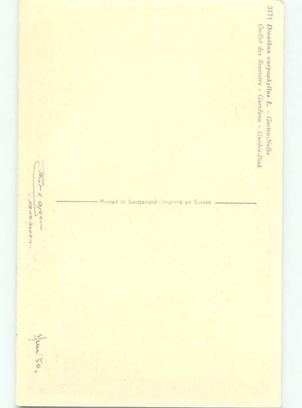 Very Old Foreign Postcard BEAUTIFUL FLOWERS SCENE AA4602