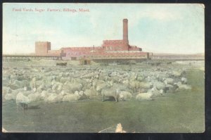 BILLINGS MONTANA SHEEP FEED FARM SUGAR FACTORY VINTAGE OSTCARD
