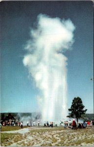 Yellowstone National Park Old Faithful Geyser