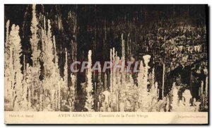 Old Postcard Cave Caves Aven Armand Set of virgin forest