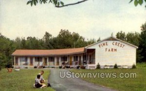 Pine Crest Farm in Freehold, New York