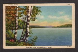 ME Greetings SOUTH BERWICK MAINE Postcard Birch Trees