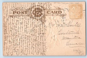 DPO (1883-1922) Tolt WA Postcard Christmas Dog With Pipe Holly Berries Bamforth