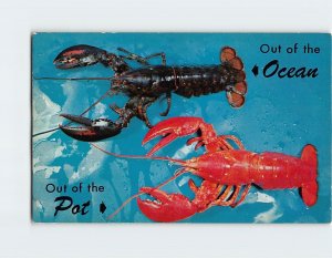 Postcard Before & After, Maine Lobster, Maine