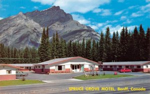 Banff, Alberta Canada  SPRUCE GROVE MOTEL  Roadside  ca1960's Chrome Postcard