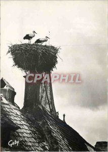 Modern Postcard Obernai Bas Rhin The Storks nest