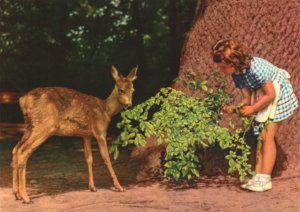 animals and kids postcard: Fun With a Fawn