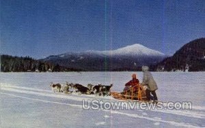 Dog Team, Whiteface Mtn. - Lake Placid, New York NY  