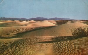 Vintage Postcard 1966 View of Sand Dunes in The Desert Mesa Arizona AZ