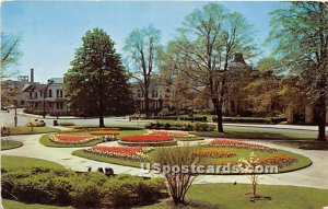 Tulips in Plymouth Park - Rochester, New York NY  