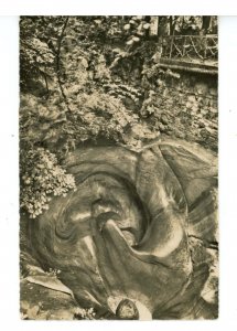 Switzerland - Luzern (Lucerne). In the Glacier Park  RPPC