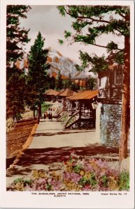 The Bungalows Jasper National Park Alberta #17 Camera Products RPPC Postcard H56