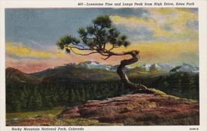 Colorado Rocky Mountains National Park Lonesome Pine & Longs Peak