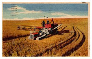 Vintage 1954 Postcard Thrasher in the Wheat Fields Farming Gas City Indiana