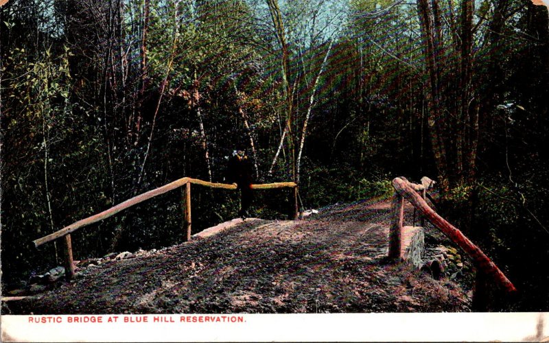 Massachusetts Blue Hills Reservation Rustic Bridge