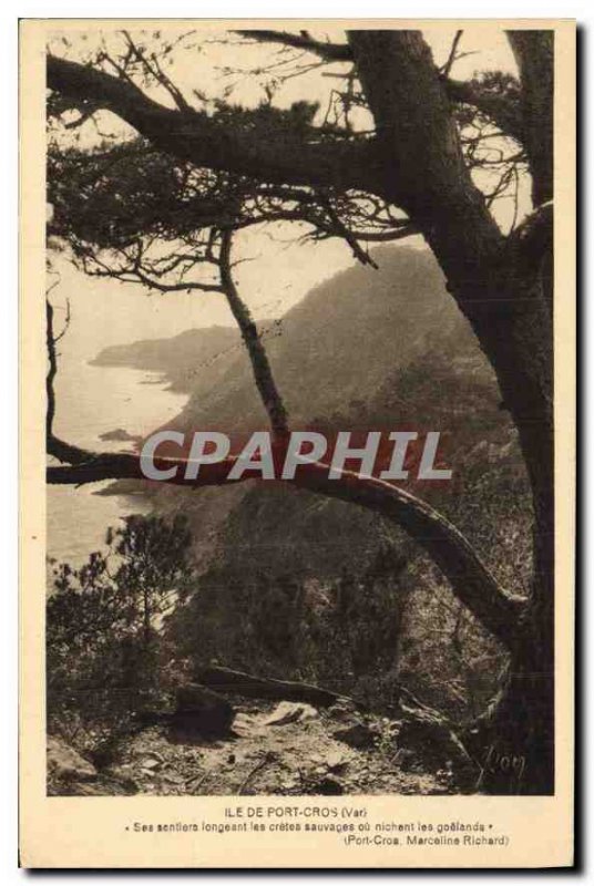 Old Postcard Ile de Port Cros Var His sentiore along ridges or wild nesting g...