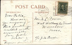 Thanksgiving Patriotic Turkey Uncle Sam Hat American Flags c1910 Postcard