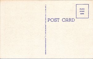 Postcard WI Chetek - scenic road