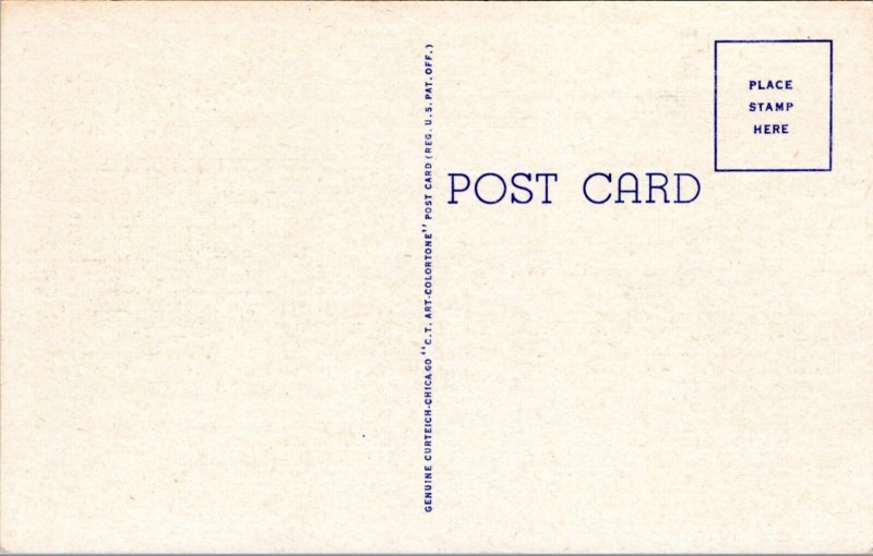 Postcard WI Chetek - scenic road