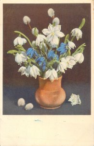 Postcard flowers snowdrop snowflake fruhlingsknotenblume