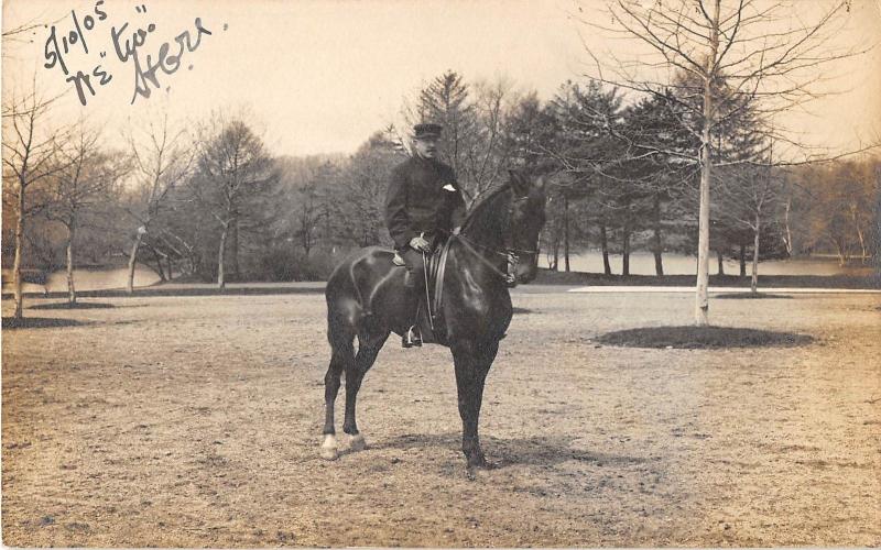 Group Of Three Real Photo Horses And Rider/Caretaker Views Real Photo PCs V18200