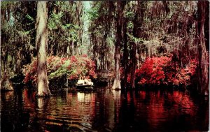 Postcard GARDEN SCENE Charleston South Carolina SC AM8129